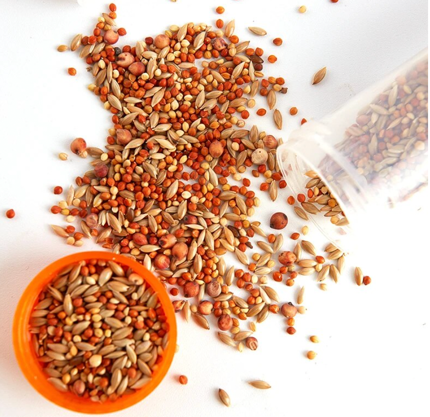 Ant Seed Mix