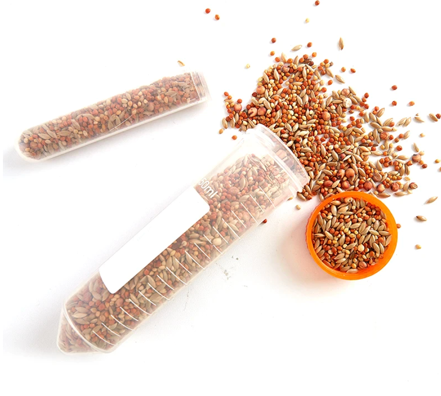 Ant Seed Mix