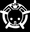 The Ant Vault: Beginner Ant Queens in USA logo