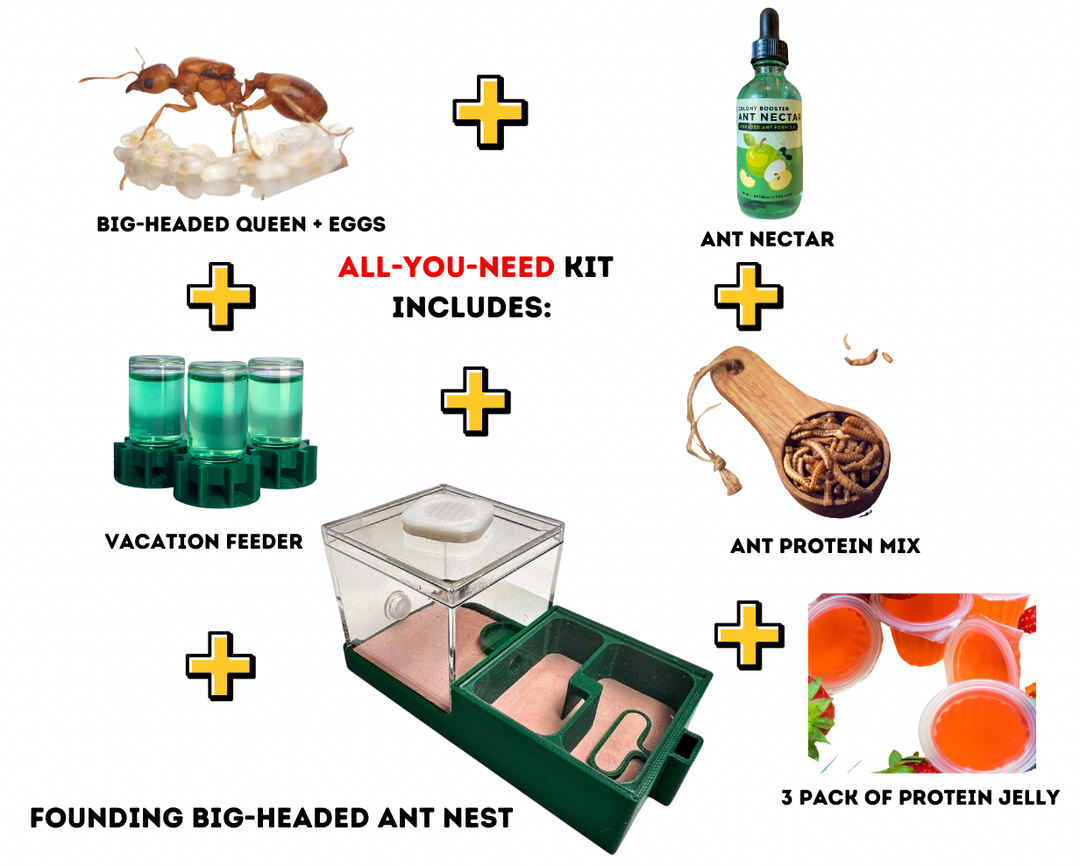 CONFIRMATION: Added to VIP List. – The Ant Vault