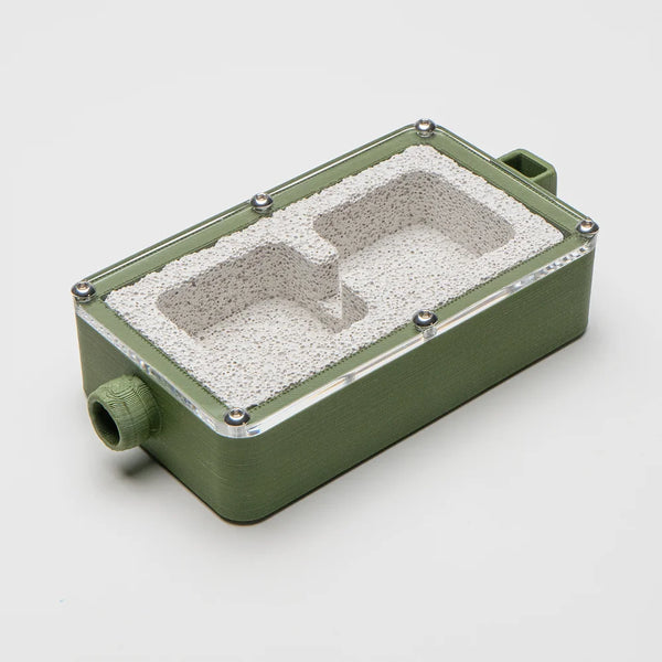 Founding Small Ant Nest – The Ant Vault